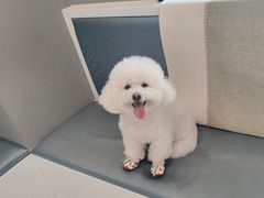 -关爱宠物医院·猫科中心·消化科(滨湖万达分院)