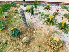 -清泉湾生态旅游度假区