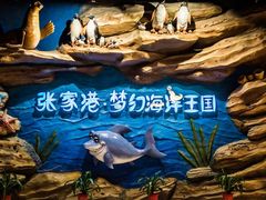 -梦幻海洋王国(吾悦广场张家港店)