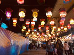 -锦江乐园舞狸花花游园会(夜场专享)