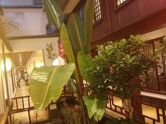 -小江南(老洋桥店)