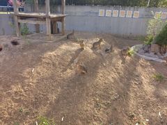 -石家庄市动物园