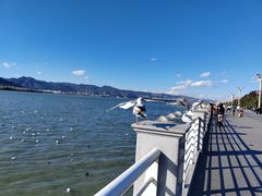 -海埂大坝