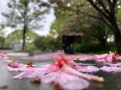 -复旦大学附属华山医院(浦东院区)