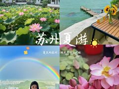 -苏州香格里拉大酒店