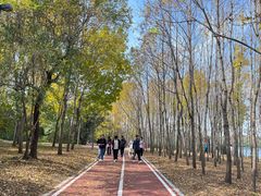 -长春市南湖公园