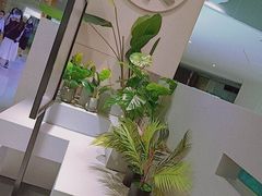 -叶子与茶(苏宁广场店)