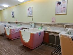 -生命加•Q考拉月子会所(玫瑰园店)