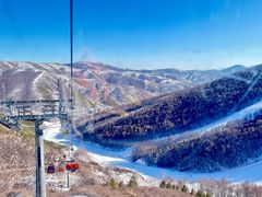 -密苑云顶乐园(云顶滑雪场)