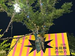 -洋湖国家湿地公园