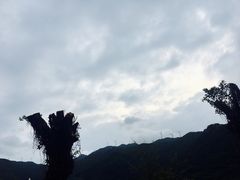 -肥弟大排档(汕樟路店)