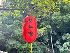 -石台牯牛降景区