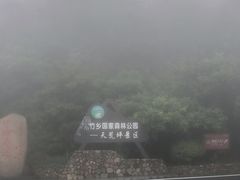 -江南天池