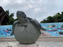 -广东惠东海龟国家级自然保护区