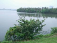 android_upload_pic-艾溪湖湿地公园