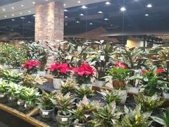 -果蔬好生活超市(乐堤港店)