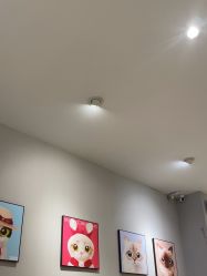 -洗脸猫·洗脸吧