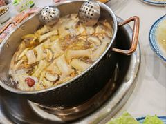 -乳仔牛牦牛汤锅 烤羊排(松潘古城店)