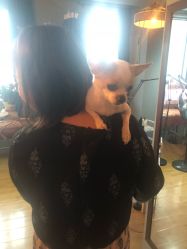 -椿树下·Tattoo纹身工作室