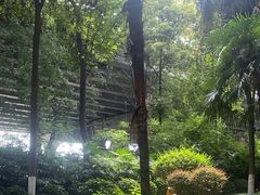 -大妙火锅·非物质文化遗产(东湖公园店)