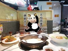 -顺德公广东猪肚鸡·煲仔饭(白石洲店)