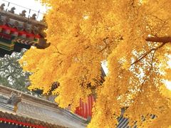 -承恩寺