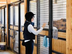 -北京群众马术培训基地