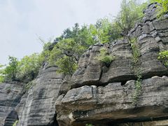 -梭布垭石林景区