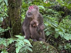 -西岭雪山大飞水景区