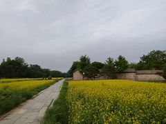 -北坞公园
