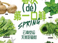 -野·大山里野生菌石锅土鸡(益田假日店)