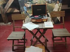 -树懒黑胶唱片店(中山路店)