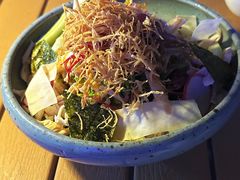 鸡丝沙拉-Hatsune隐泉日式料理(三里屯太古里店)