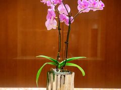 -杭州城中香格里拉大酒店