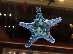 -青岛贝壳博物馆