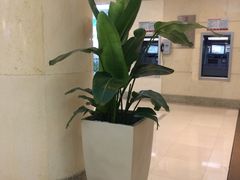 -文汇新民联合报业集团(上海报业大厦店)