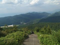 -武陵山森林公园