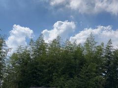 -白塔湖国家湿地公园