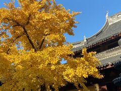 -龙华素斋(龙华路店)