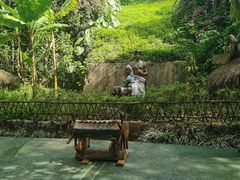 -西双版纳基诺山寨