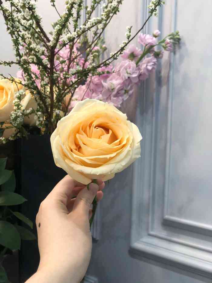 曦月花艺培训-"94吃完午饭跟小姐妹一起来上个花艺体验课.