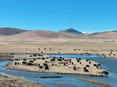 -天下黄河第一湾