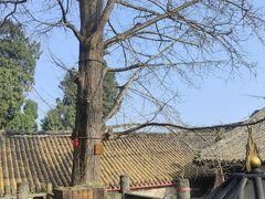 -金堂县云顶石城风景区