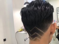 -T8 SALON