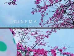 -风云岭森林公园