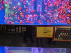 -中环花鸟鱼虫市场