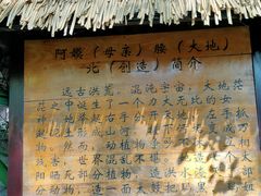 -西双版纳基诺山寨