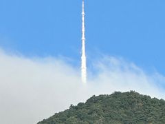 -深圳仙湖植物园