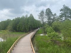 -西溪国家湿地公园