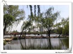 -紫竹院公园冰场